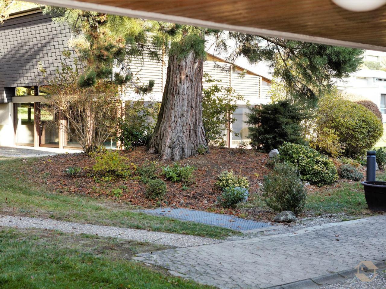 Ferienwohnung Konigsegg Ines Koch Reichenau Esterno foto